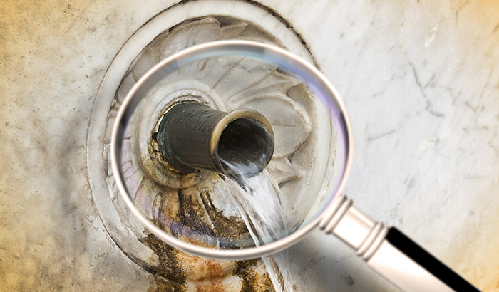 How to Keep Your Office Drinking Fountains Germ-Free